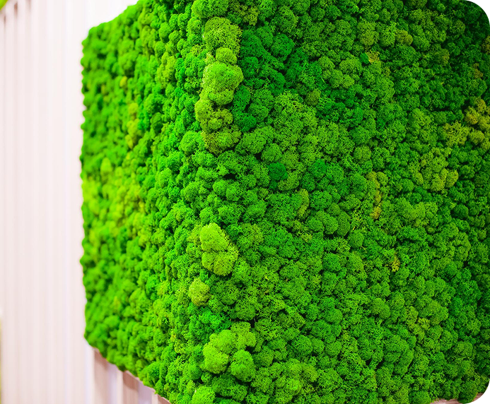 green grass