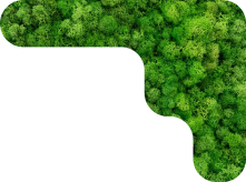 grass